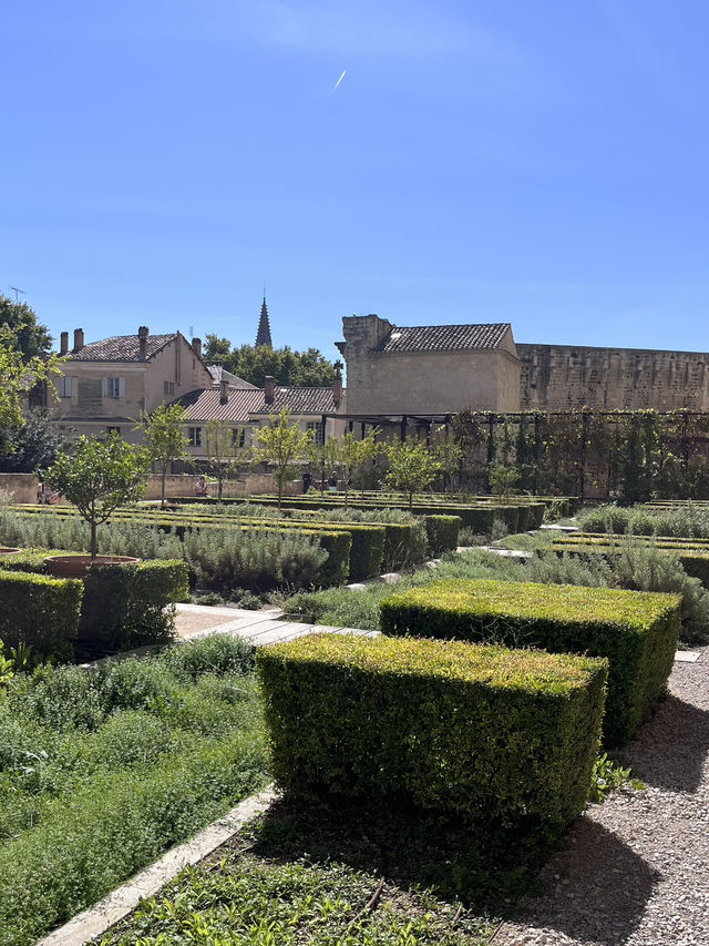 Папские сады в Авиньоне