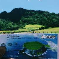 Jeju Island: Volcano Views, Fresh Air & Island Magic 🌊✨