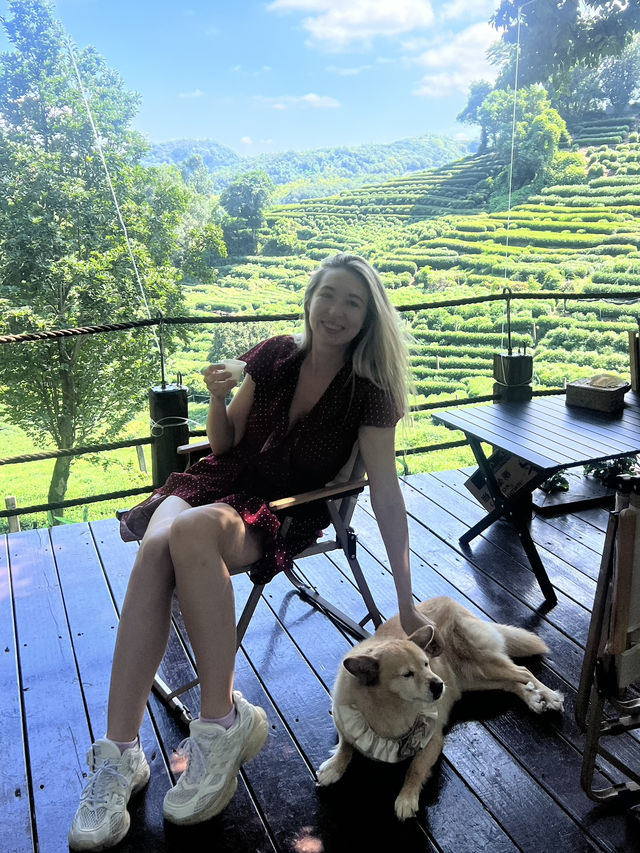 Hangzhou in One Day: What I Wish I Knew Before Going Hangzhou in One Day: What I Wish I Knew Before Going