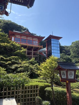 Yūtoku Inari Shrine⛩️