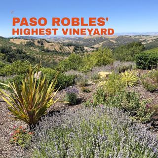 DAOU Vineyards: Reservation Required, View Unforgettable