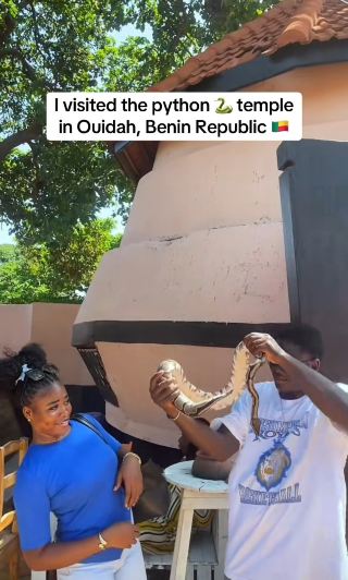 I visited the python 🐍 temple in Ouidah, Benin Republic 