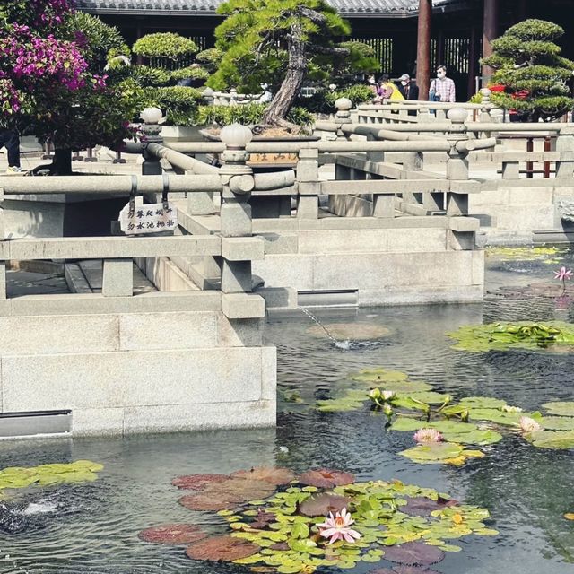 🪷志蓮淨苑 香港的世外桃源