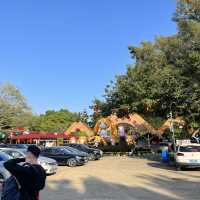 China’s first ever Zoo with uncaged animals🫢