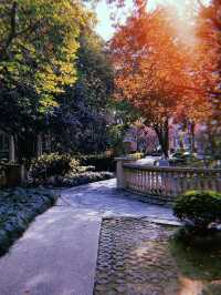 Wondering around Minhang district 