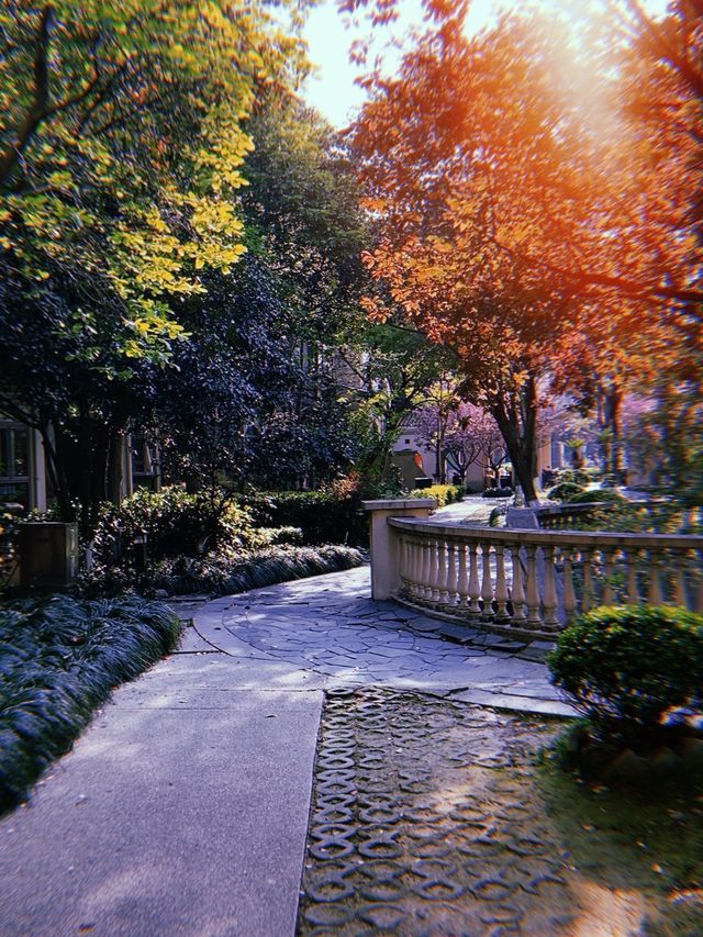 Wondering around Minhang district 