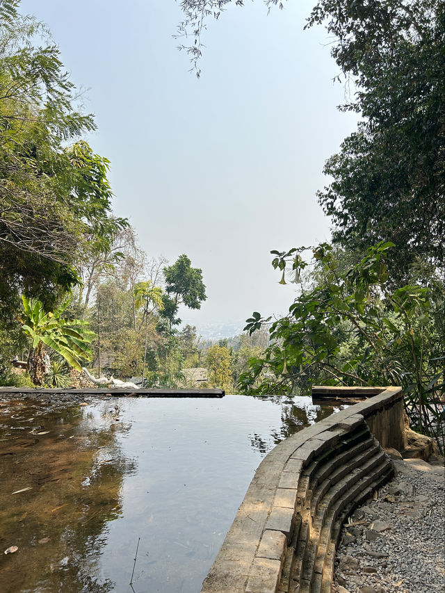 Chiang Mai's beautiful hike to Wat Pha Lat temple