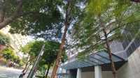 Go to Marco Polo Hotel to challenge the Hong Kong Kowloon Wharf Group.