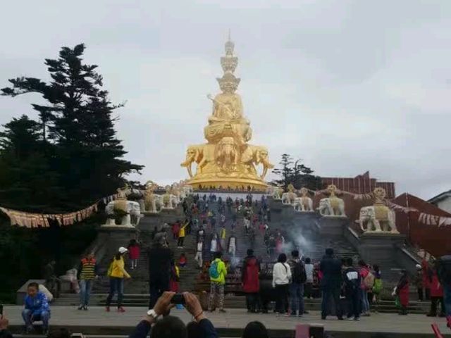 Emei Mountain's Treasure! 🇨🇳 Emei Mountain's Treasure! 🇨🇳