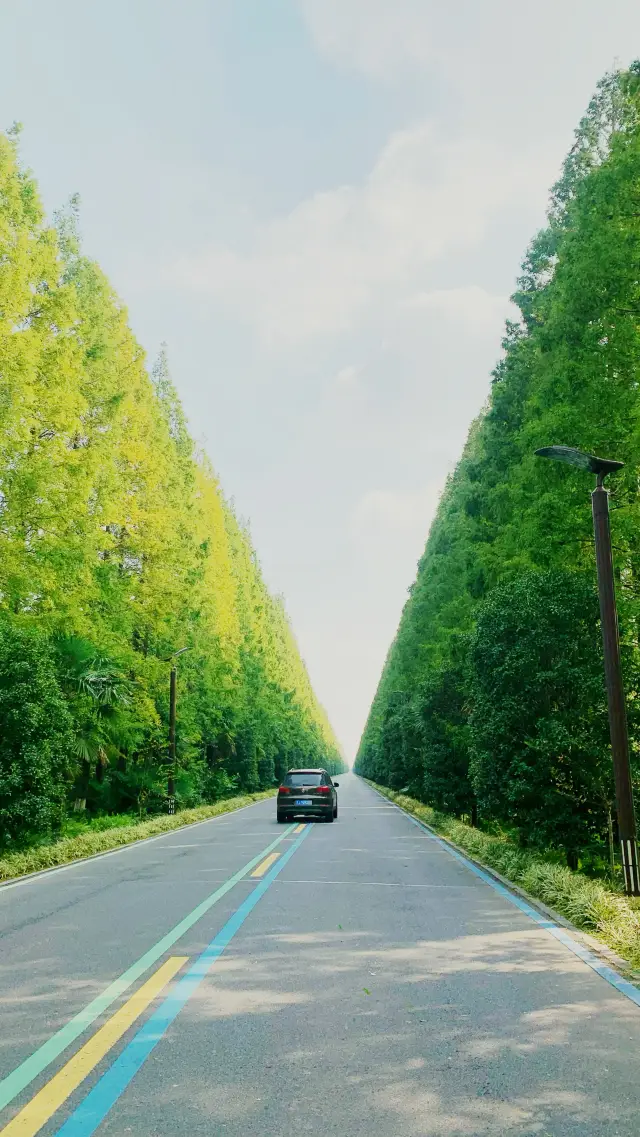 Huanghai Forest Park