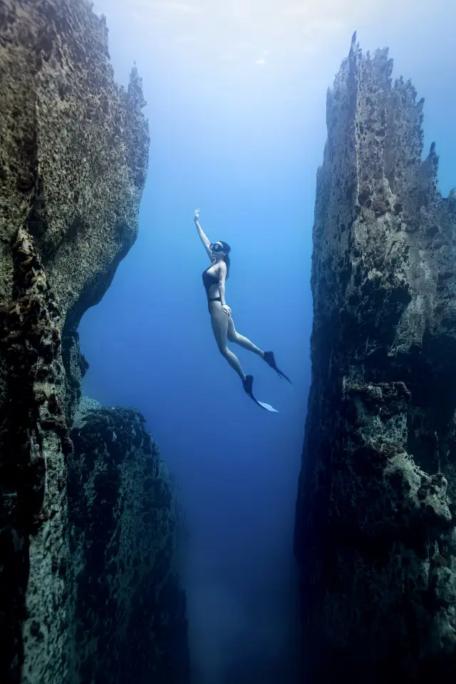 Barracuda | Going diving again, the cliff is really beautiful