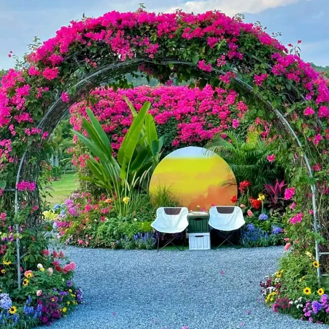 ✨深圳~蓮花山公園🌺✨