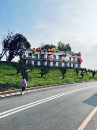 成都周邊1h，新開的橘子主題樂園