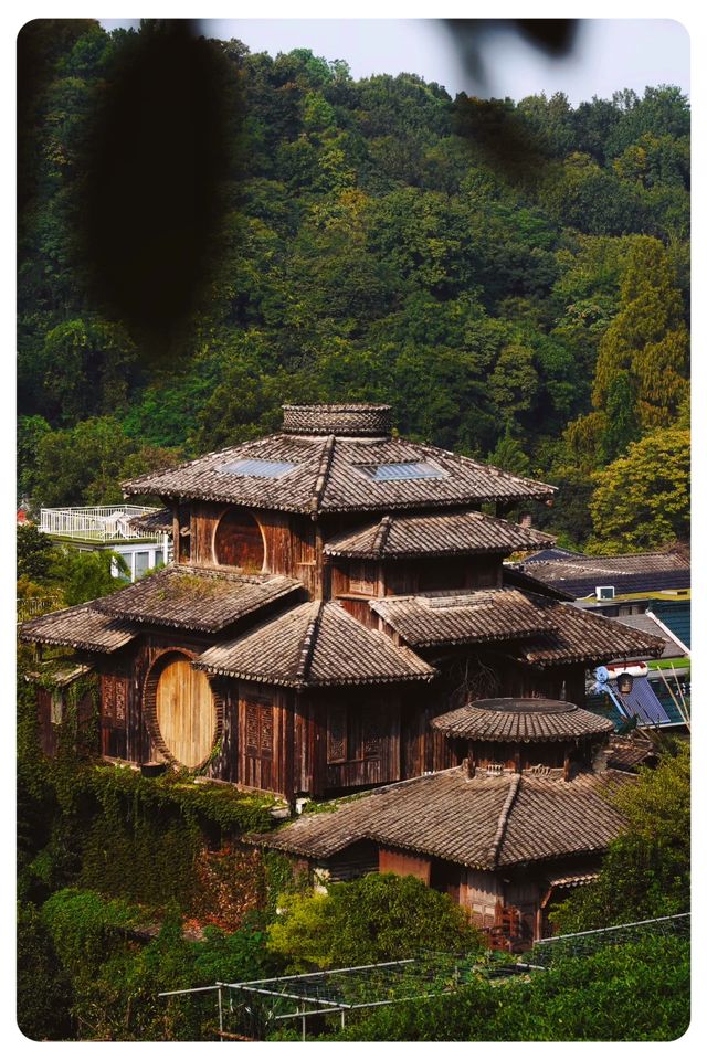 龍井與桂花的奇妙邂逅，暢遊杭州滿覺陇