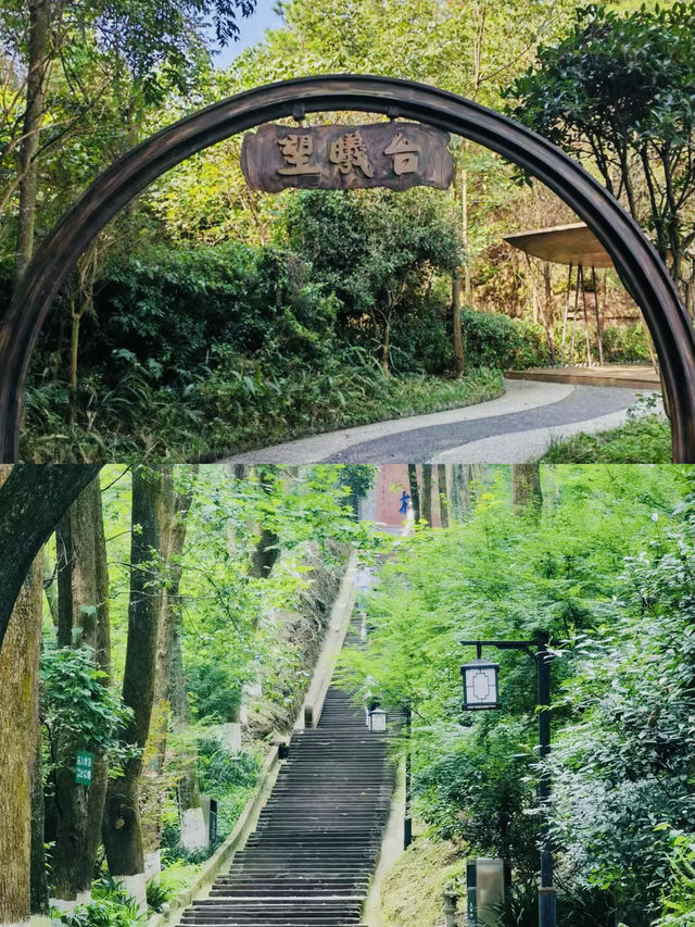 成都1h 超愛這條高鐵公交可達的古林步道