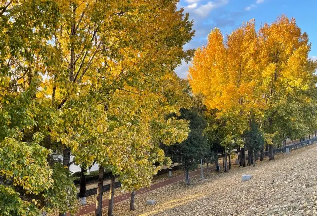 【Qingxi Reservoir】A less-known place in Lijiang city area for watching snow mountains and sunset in winter