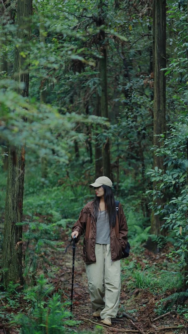武漢周末徒步遊玩天花板，人少免費治癒！