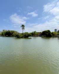 佛山遛娃好去處——免費寶藏公園中山公園！