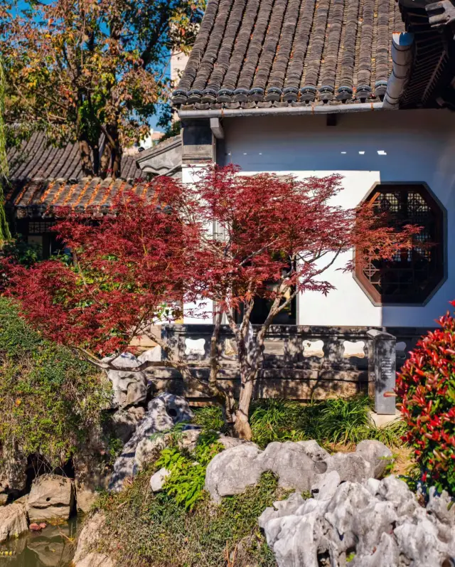 Compared to Zhan Yuan, I am more fond of this hidden treasure garden!