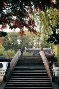 發現上海｜奉賢古華園，這裡的紅葉也很美