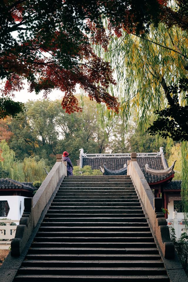 發現上海｜奉賢古華園，這裡的紅葉也很美