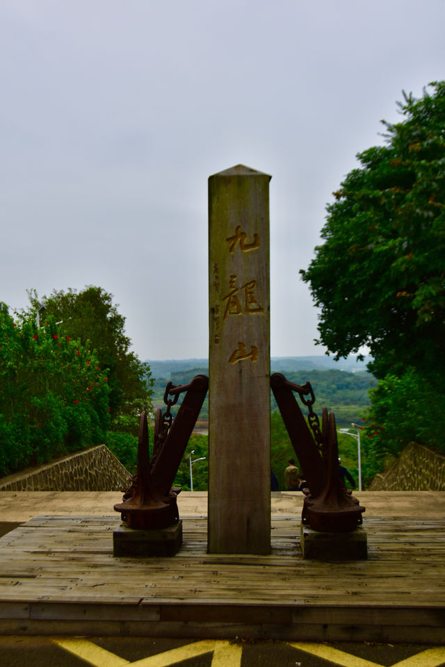 中國最大紅樹林，最美森林旅遊地