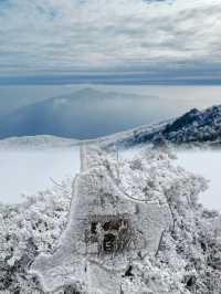 上海當日往返人回來了，魂還在冰天雪地