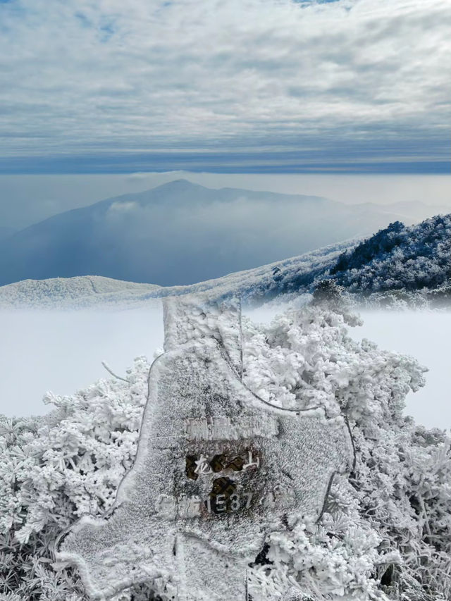 上海當日往返人回來了，魂還在冰天雪地
