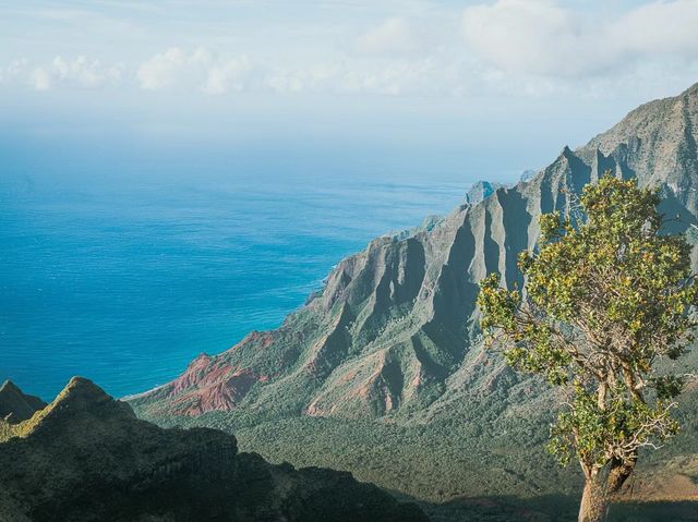 夏威夷可愛島→轉身看到了宇宙的盡頭