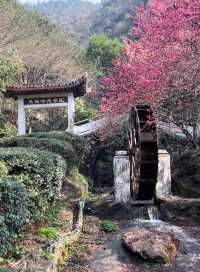 郴州王仙岭｜｜宛如在畫中