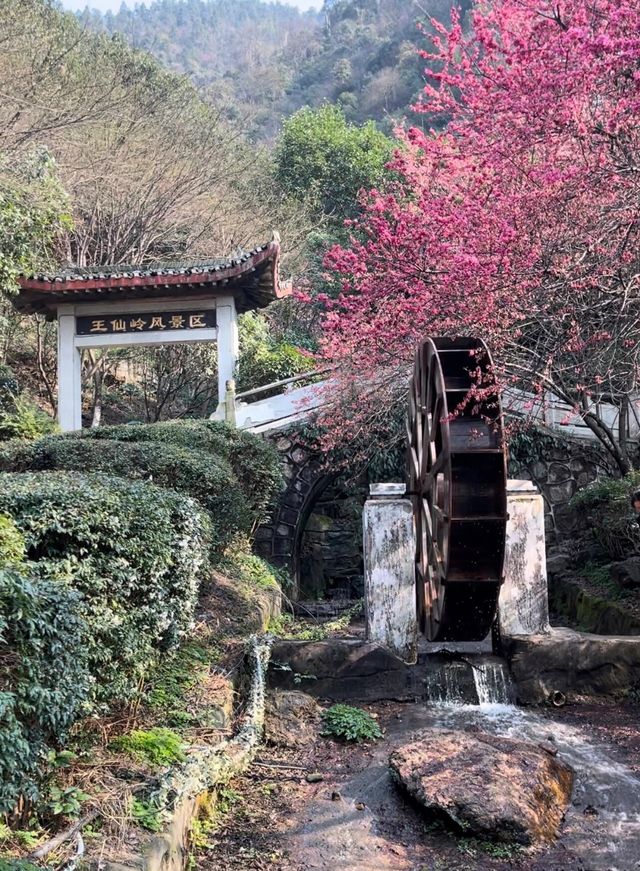 郴州王仙岭｜｜宛如在畫中
