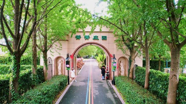 菁菁莊園丨“宣”為人知,聞“蜂”而動