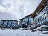 驚人的酒店體驗，享受極致滑雪樂趣！