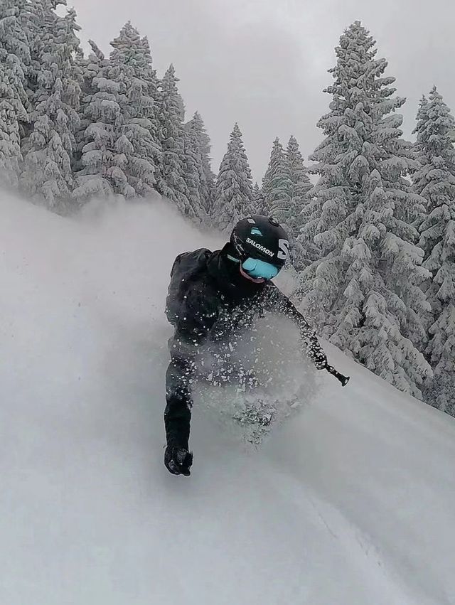 "一場雪色誘惑的盛宴 "——基茨比厄爾