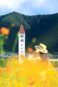 杭州你別太離譜淪陷在秋日的花海