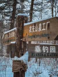 長白山｜農夫山泉礦泉水工廠漂流之旅