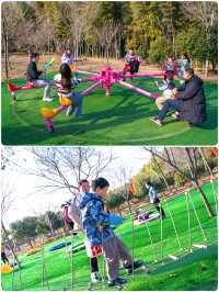 來宜興國家森林公園過大年，看金龍舞林海