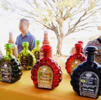 探訪墨西哥知名龍舌蘭酒廠La Rojena