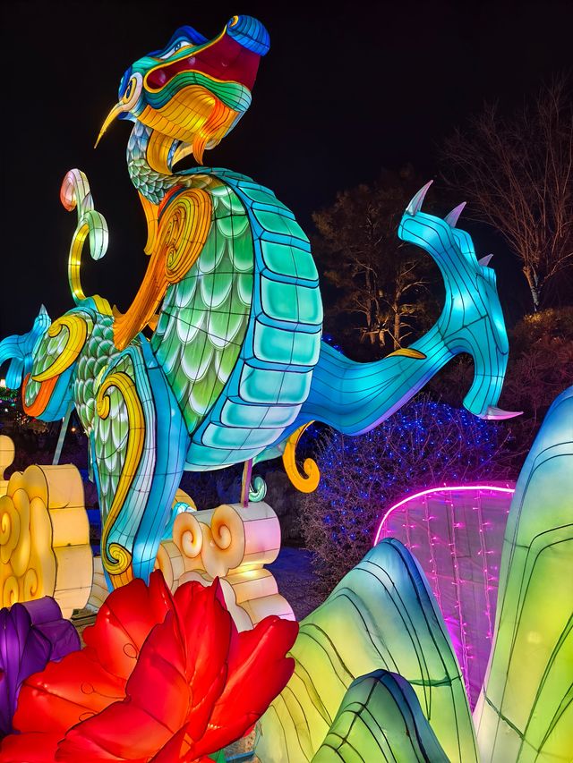 新春遊園‖尋找年味攻略來啦！到臥龍崗燈展看打鐵花