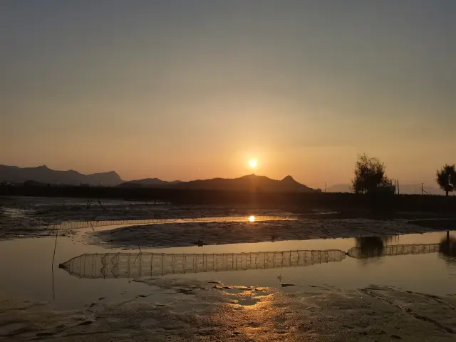 Spring Festival Xiapu tourism to see the most beautiful mudflats