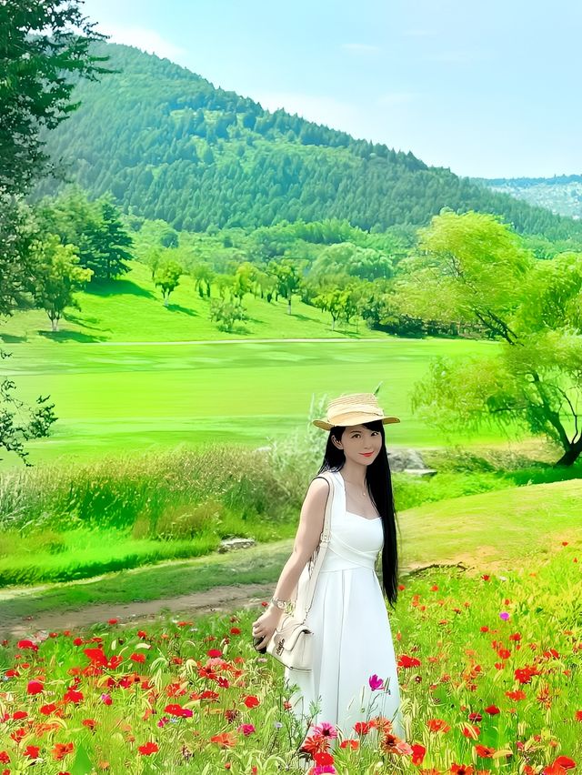 啊，在济南，油画莫奈花園，不是新疆好美啊！