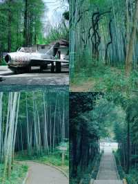 這不是在青島，這是武漢「熊延弼公園」