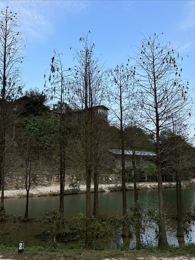 大灣區後花園|廣州週邊遊1h到達春日溪谷山林