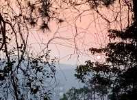 探索珠海尖峰山森林公園：原始森林與熱帶植物的奇妙之旅！