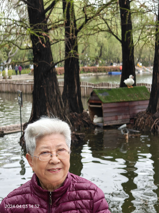 到此莫愁——南京莫愁湖海棠美景