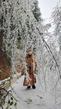 最美雪景｜春天冻雨覆蓋下的東林寺淨土苑