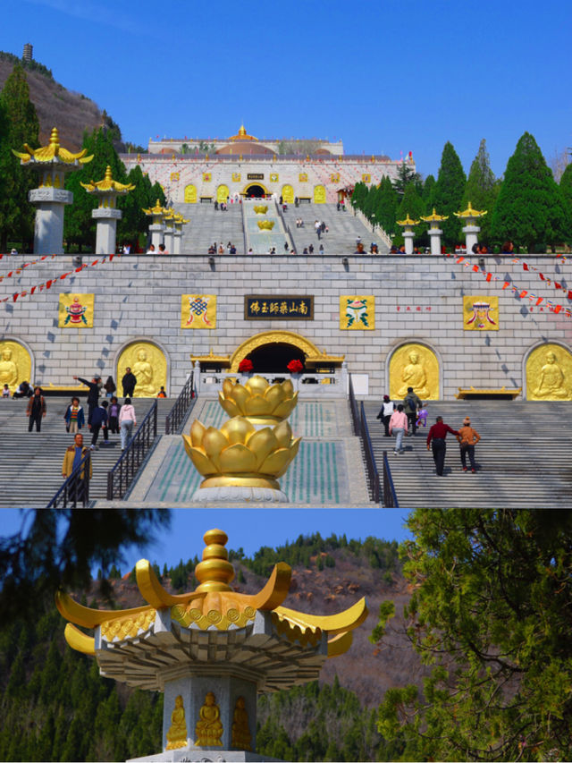 南山大佛親測詳遊攻略，靜心祈福好運常在