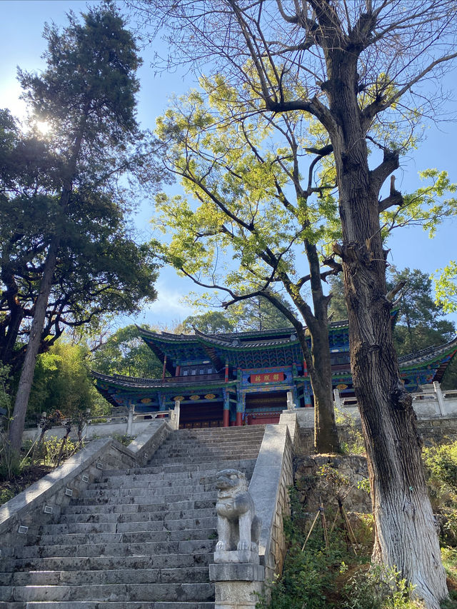 美爆了 丽江黑龙潭公園