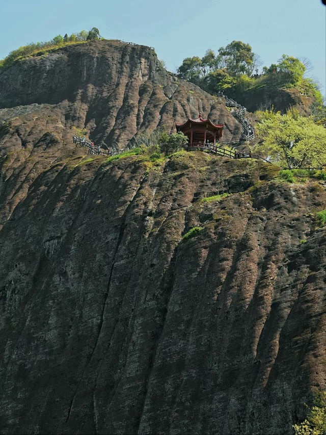 武夷山｜詳細攻略輕鬆暢遊山水間！