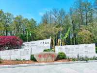 不到三小時就逛完了顧村公園